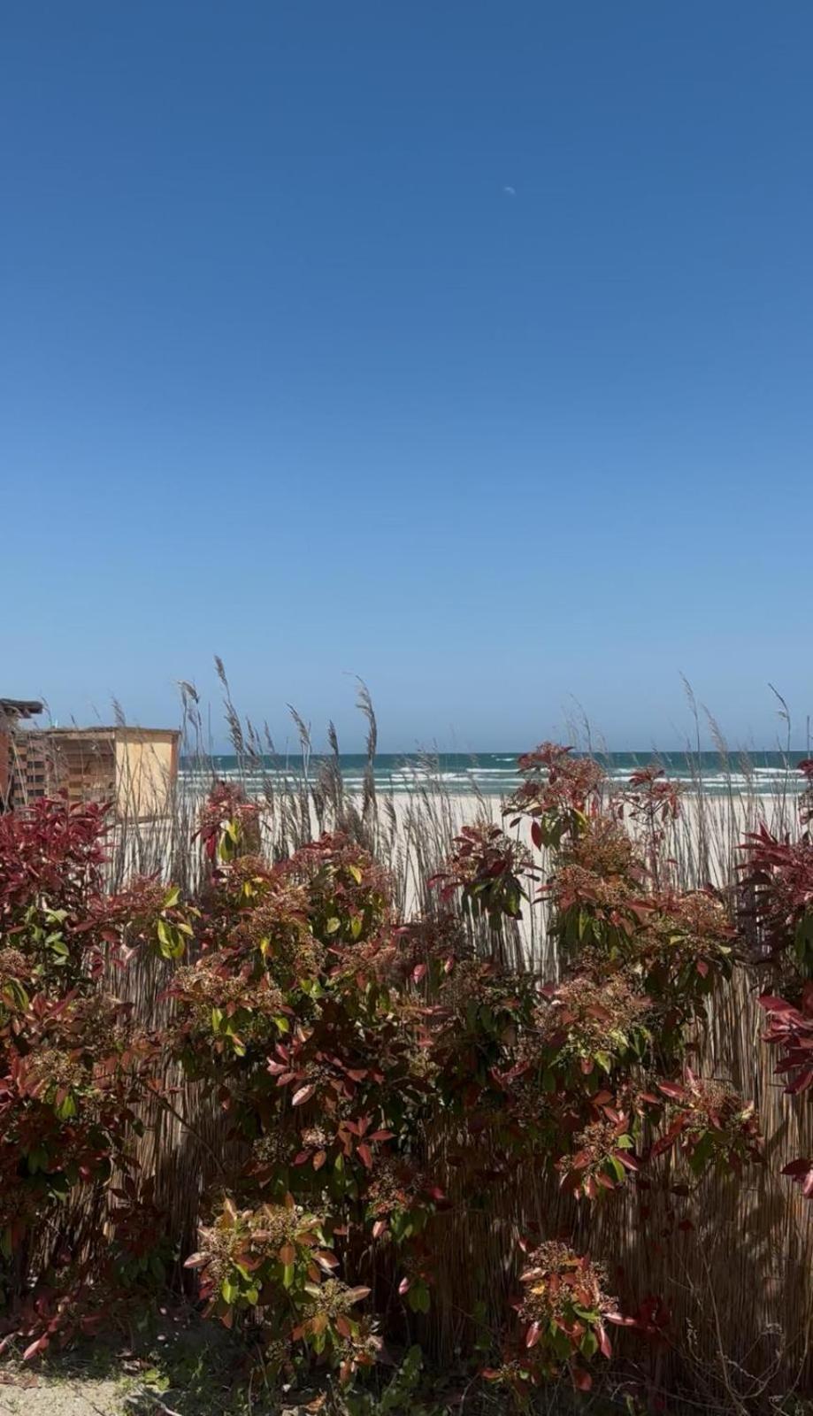 Sea View Luxury Apartament Navodari Exterior photo